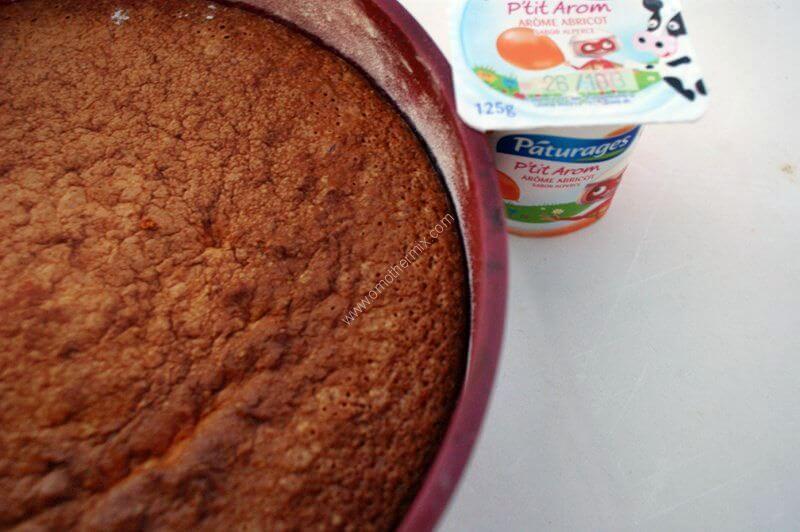 Large picture of apricot yoghurt cake magimix