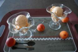 Apricot sorbet thermomix