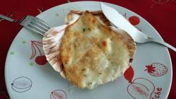 Imagen mediana de vieiras gratinadas thermomix