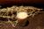 Velouté de champignons au magimix
