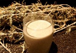 Velouté de champignons magimix