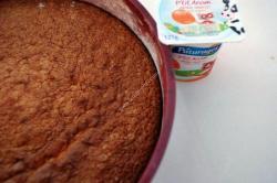 Image moyenne un gateau au yaourt saveur abricot thermomix