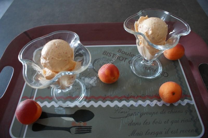 Image grande un sorbet abricot thermomix